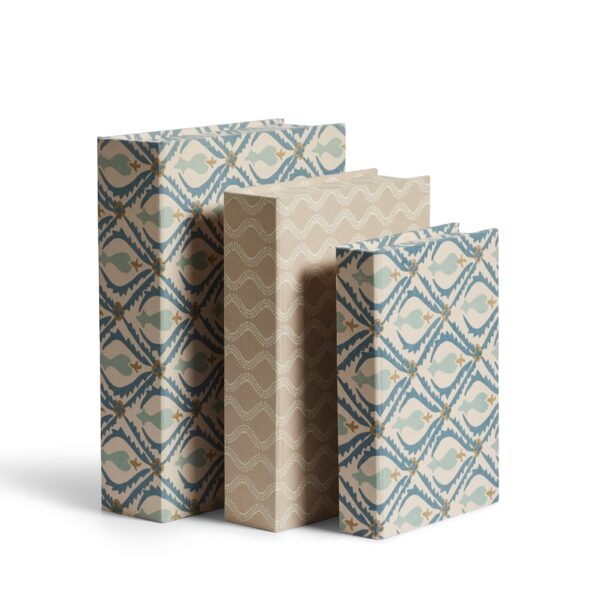 Cornelia and Zostera Box Files