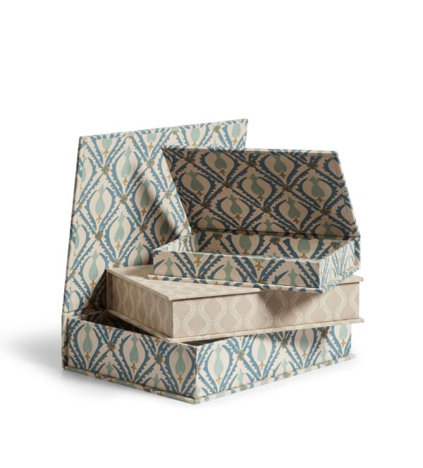 Cornelia and Zostera Box Files