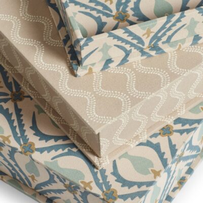 Cornelia and Zostera Box Files