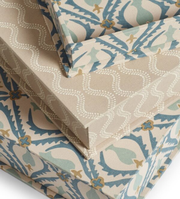 Cornelia and Zostera Box Files